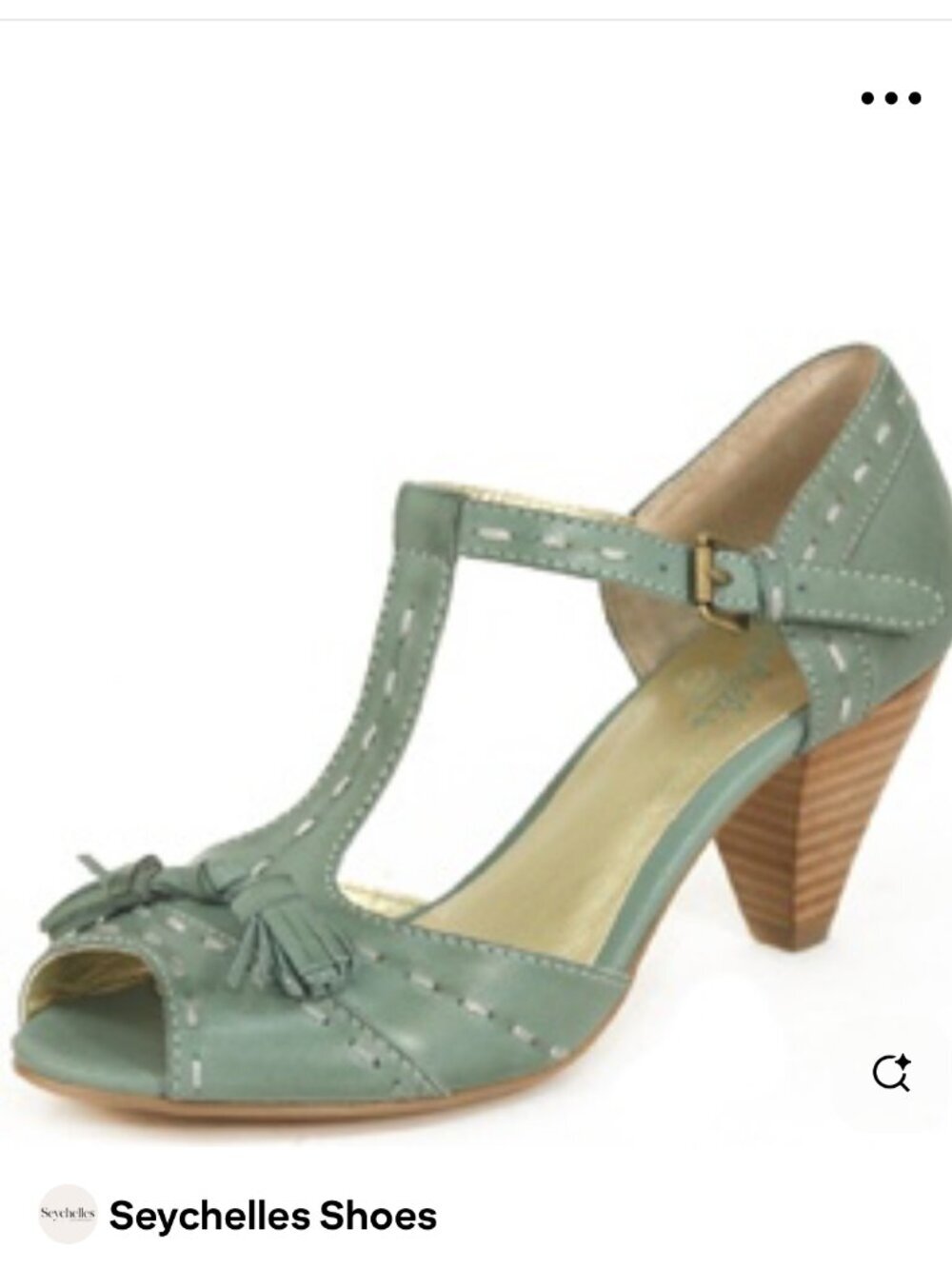 Seychelles SZ 10 Aqua T-Strap Peep Toe Heel Tassel Retro Vintage 40S Rockabilly